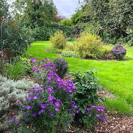 Garden Townhouse 5* Dingle