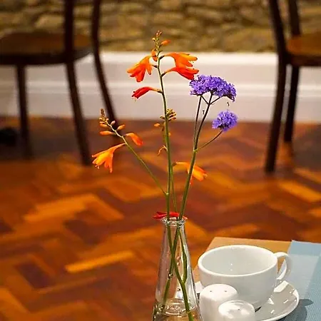 Garden Townhouse 딩글