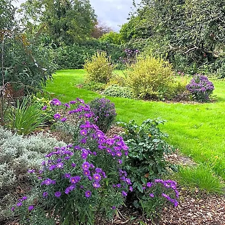 Garden Townhouse B&B 5*