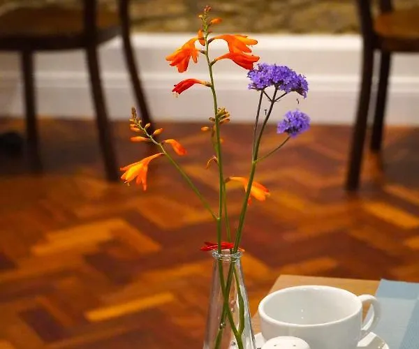 Bed & Breakfast Garden Townhouse