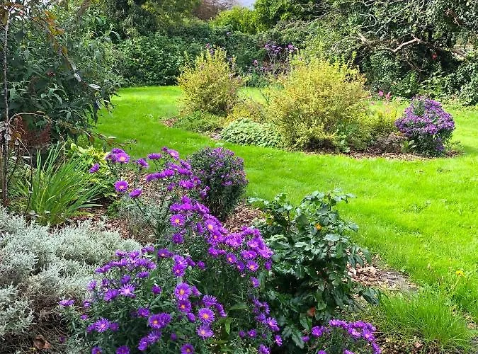 Garden Townhouse 5* Dingle